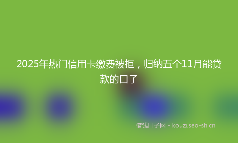 2025年热门信用卡缴费被拒，归纳五个11月能贷款的口子