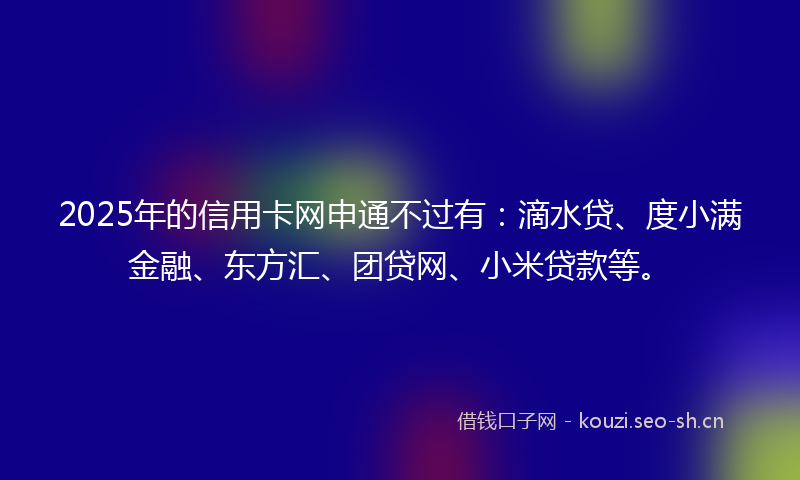 2025年的信用卡网申通不过有：滴水贷、度小满金融、东方汇、团贷网、小米贷款等。