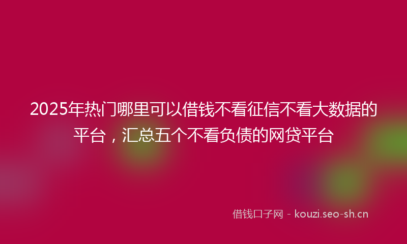 2025年热门哪里可以借钱不看征信不看大数据的平台，汇总五个不看负债的网贷平台