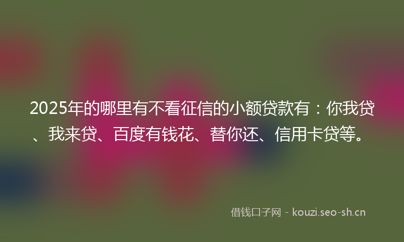 2025年的哪里有不看征信的小额贷款有：你我贷、我来贷、百度有钱花、替你还、信用卡贷等。