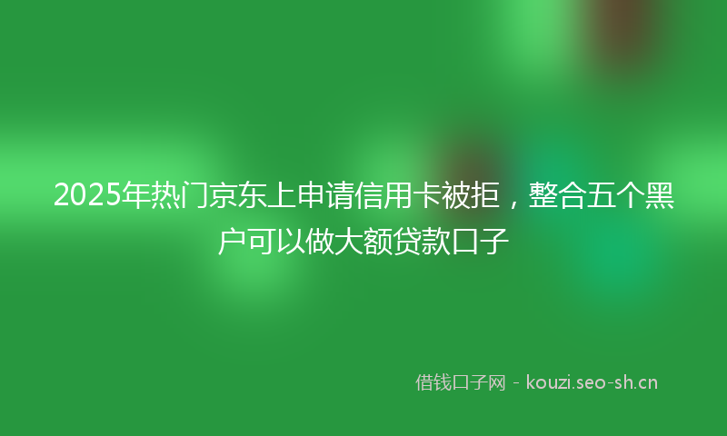 2025年热门京东上申请信用卡被拒，整合五个黑户可以做大额贷款口子