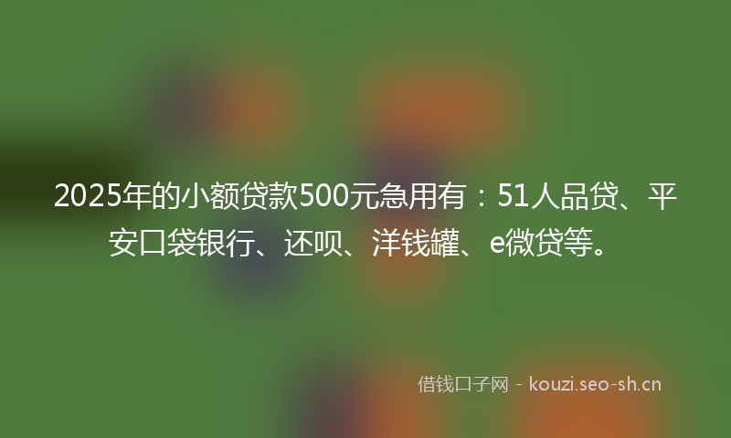 2025年的小额贷款500元急用有：51人品贷、平安口袋银行、还呗、洋钱罐、e微贷等。