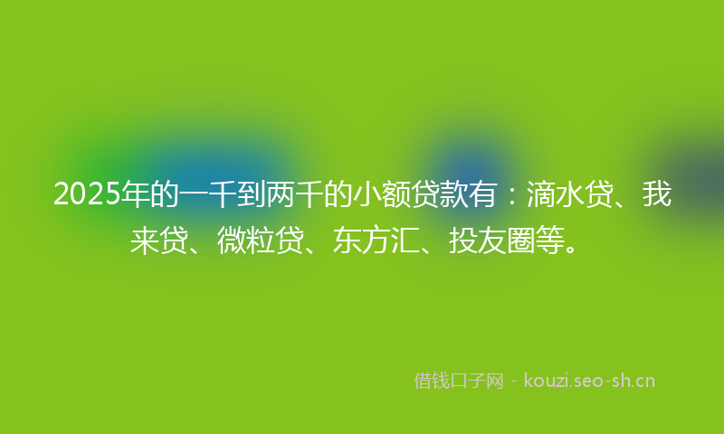 2025年的一千到两千的小额贷款有：滴水贷、我来贷、微粒贷、东方汇、投友圈等。