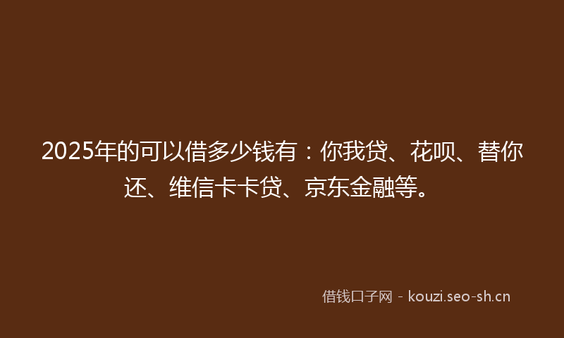 2025年的可以借多少钱有:你我贷、花呗、替你还、维信卡卡贷、京东金融等。