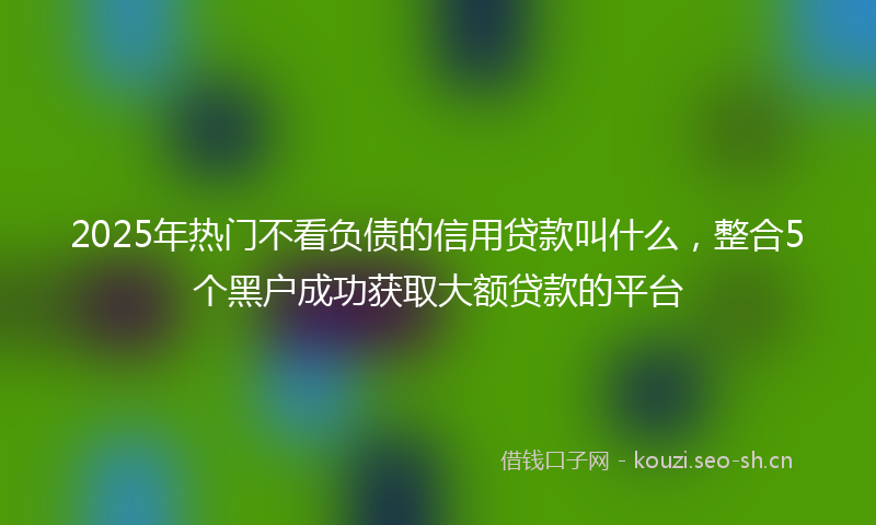 2025年热门不看负债的信用贷款叫什么，整合5个黑户成功获取大额贷款的平台