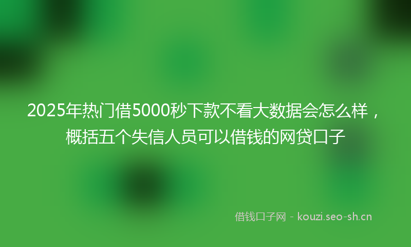 2025年热门借5000秒下款不看大数据会怎么样，概括五个失信人员可以借钱的网贷口子