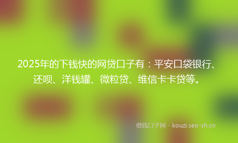 2025年的下钱快的网贷口子有：平安口袋银行、还呗、洋钱罐、微粒贷、维信卡卡贷等。