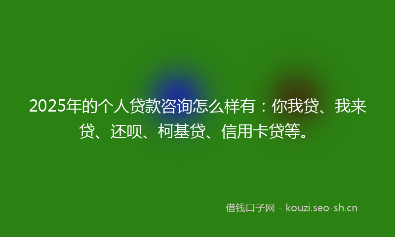 2025年的个人贷款咨询怎么样有：你我贷、我来贷、还呗、柯基贷、信用卡贷等。