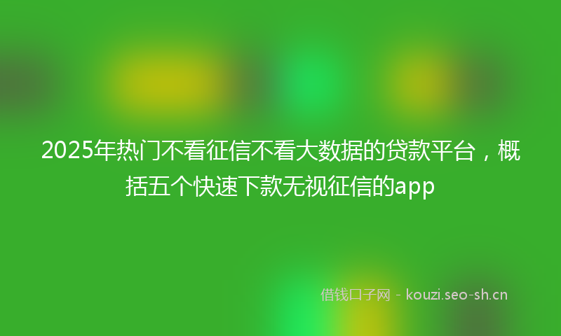 2025年热门不看征信不看大数据的贷款平台，概括五个快速下款无视征信的app