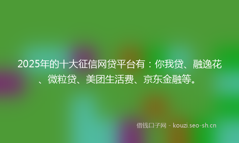 2025年的十大征信网贷平台有:你我贷、融逸花、微粒贷、美团生活费、京东金融等。