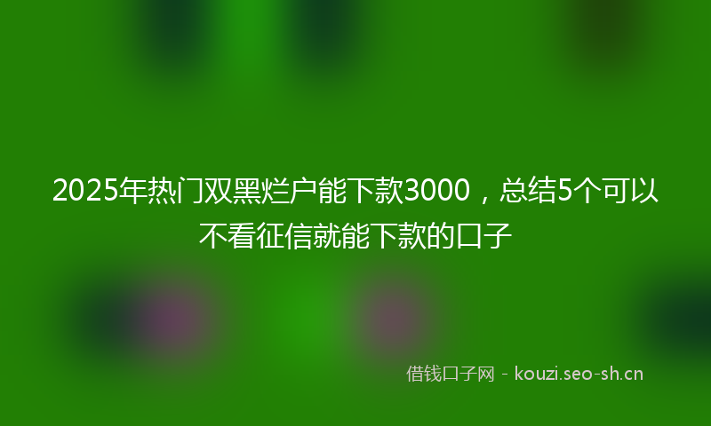 2025年热门双黑烂户能下款3000，总结5个可以不看征信就能下款的口子