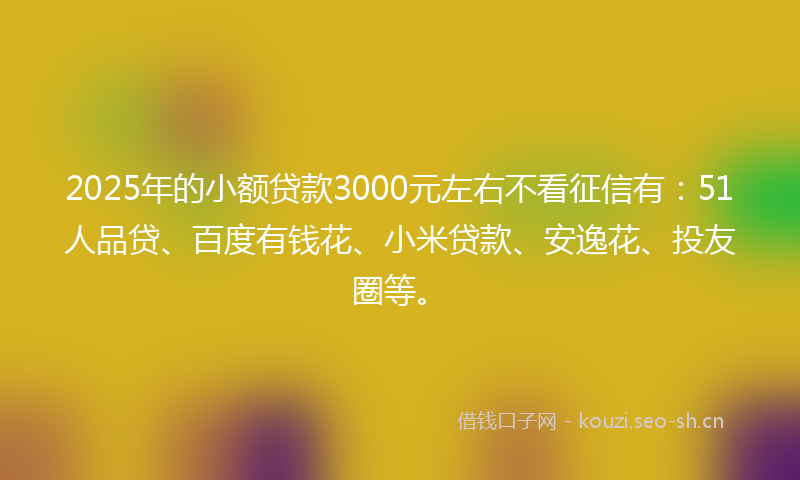 2025年的小额贷款3000元左右不看征信有：51人品贷、百度有钱花、小米贷款、安逸花、投友圈等。