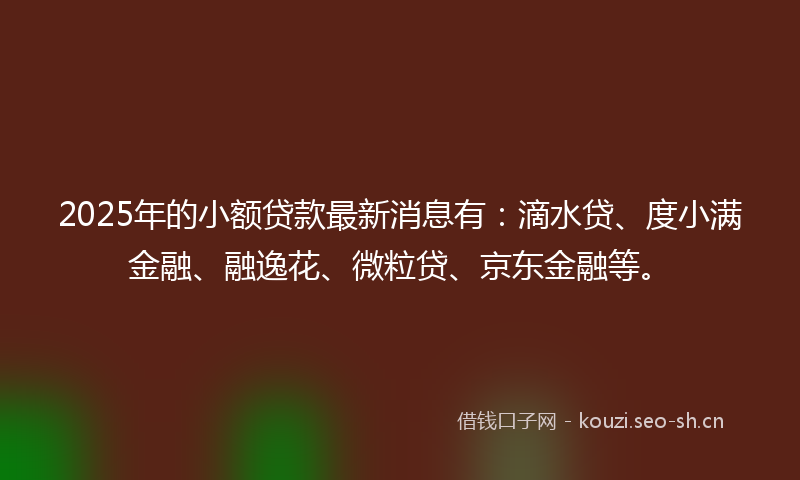2025年的小额贷款最新消息有：滴水贷、度小满金融、融逸花、微粒贷、京东金融等。