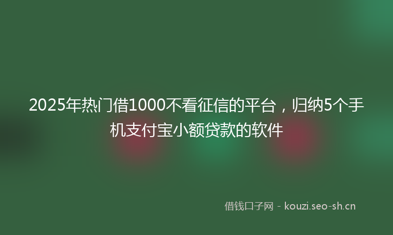 2025年热门借1000不看征信的平台，归纳5个手机支付宝小额贷款的软件