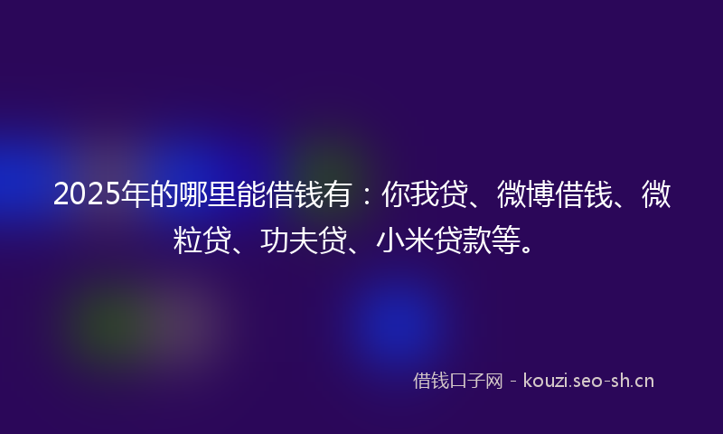 2025年的哪里能借钱有：你我贷、微博借钱、微粒贷、功夫贷、小米贷款等。