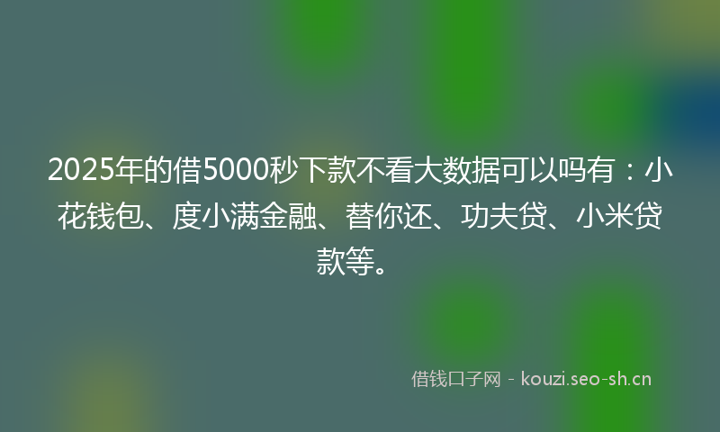 2025年的借5000秒下款不看大数据可以吗有：小花钱包、度小满金融、替你还、功夫贷、小米贷款等。