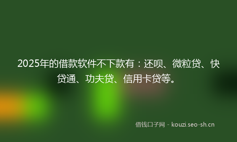 2025年的借款软件不下款有：还呗、微粒贷、快贷通、功夫贷、信用卡贷等。