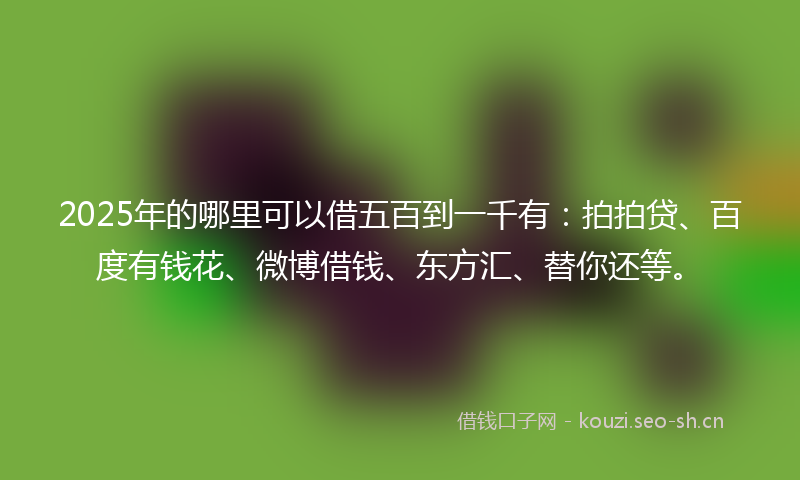 2025年的哪里可以借五百到一千有：拍拍贷、百度有钱花、微博借钱、东方汇、替你还等。