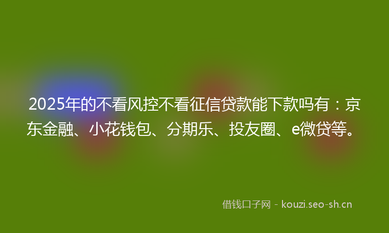 2025年的不看风控不看征信贷款能下款吗有：京东金融、小花钱包、分期乐、投友圈、e微贷等。