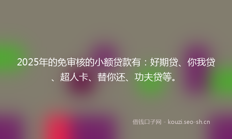 2025年的免审核的小额贷款有：好期贷、你我贷、超人卡、替你还、功夫贷等。