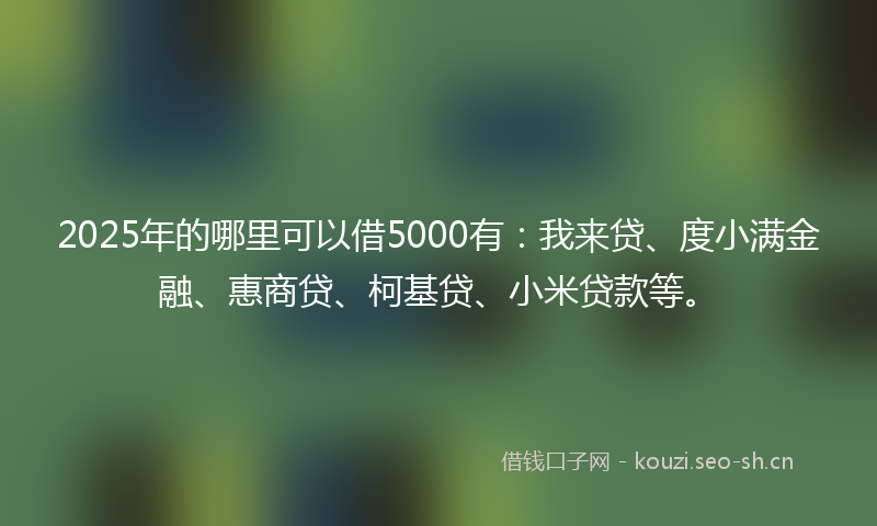 2025年的哪里可以借5000有：我来贷、度小满金融、惠商贷、柯基贷、小米贷款等。
