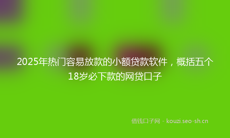 2025年热门容易放款的小额贷款软件，概括五个18岁必下款的网贷口子