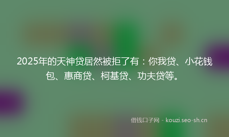 2025年的天神贷居然被拒了有：你我贷、小花钱包、惠商贷、柯基贷、功夫贷等。