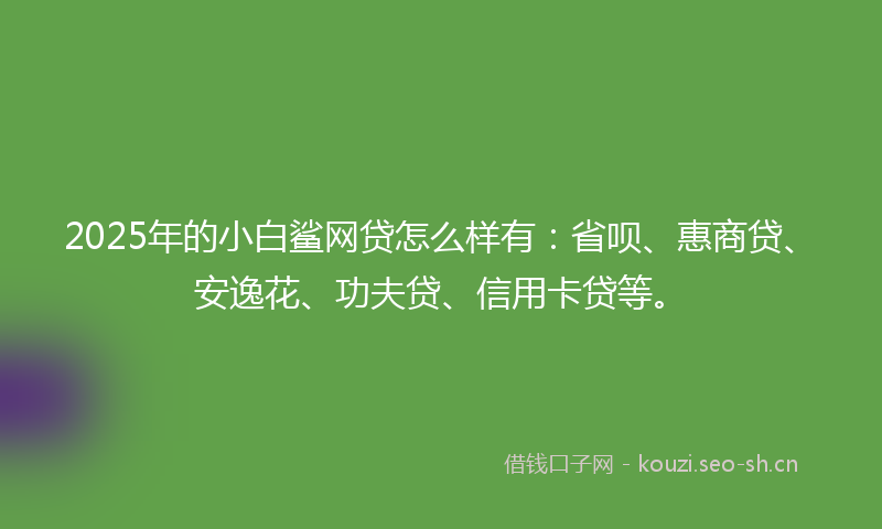 2025年的小白鲨网贷怎么样有：省呗、惠商贷、安逸花、功夫贷、信用卡贷等。