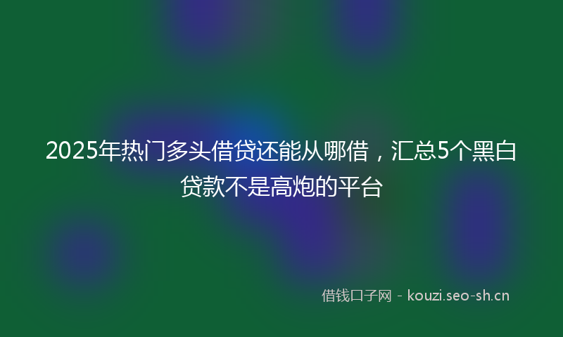2025年热门多头借贷还能从哪借，汇总5个黑白贷款不是高炮的平台
