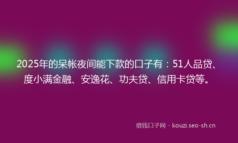 2025年的呆帐夜间能下款的口子有：51人品贷、度小满金融、安逸花、功夫贷、信用卡贷等。