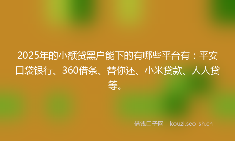 2025年的小额贷黑户能下的有哪些平台有：平安口袋银行、360借条、替你还、小米贷款、人人贷等。