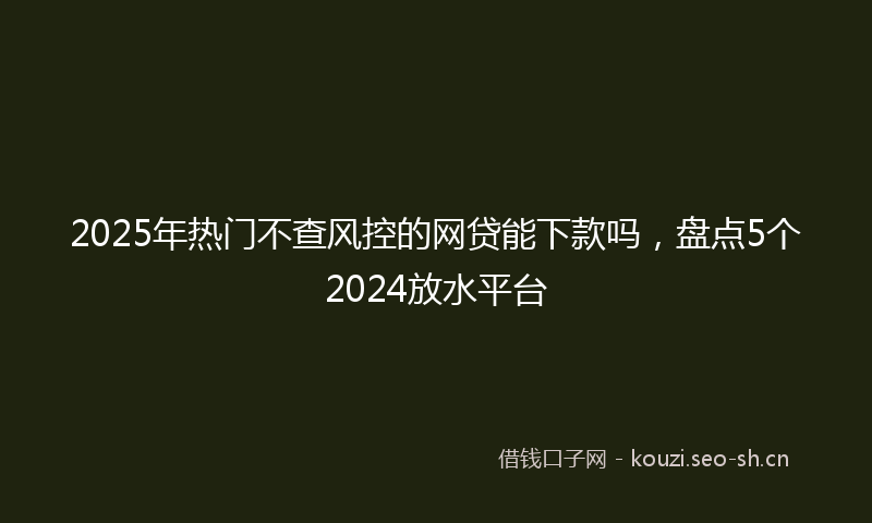 2025年热门不查风控的网贷能下款吗，盘点5个2024放水平台