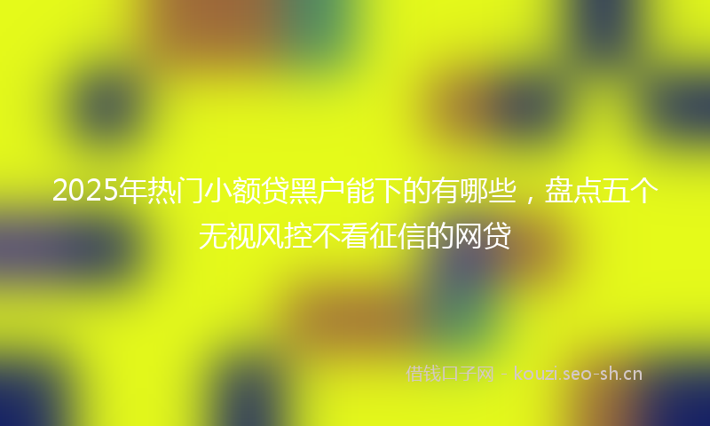 2025年热门小额贷黑户能下的有哪些，盘点五个无视风控不看征信的网贷
