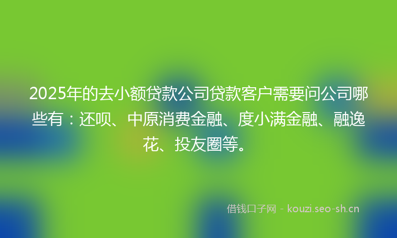 2025年的去小额贷款公司贷款客户需要问公司哪些有：还呗、中原消费金融、度小满金融、融逸花、投友圈等。