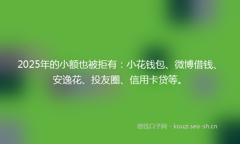 2025年的小额也被拒有：小花钱包、微博借钱、安逸花、投友圈、信用卡贷等。