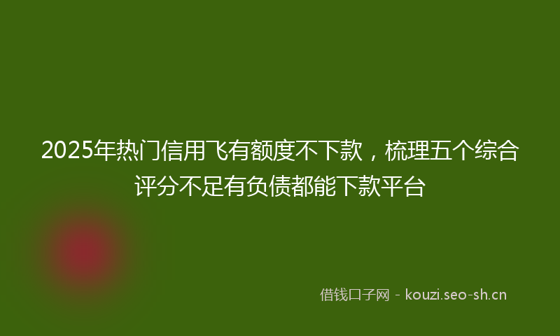 2025年热门信用飞有额度不下款，梳理五个综合评分不足有负债都能下款平台