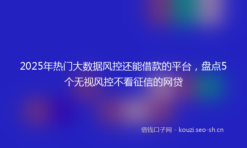 2025年热门大数据风控还能借款的平台，盘点5个无视风控不看征信的网贷