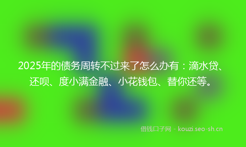 2025年的债务周转不过来了怎么办有：滴水贷、还呗、度小满金融、小花钱包、替你还等。