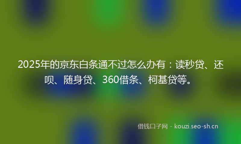 2025年的京东白条通不过怎么办有：读秒贷、还呗、随身贷、360借条、柯基贷等。