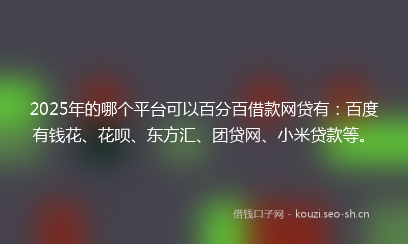 2025年的哪个平台可以百分百借款网贷有：百度有钱花、花呗、东方汇、团贷网、小米贷款等。