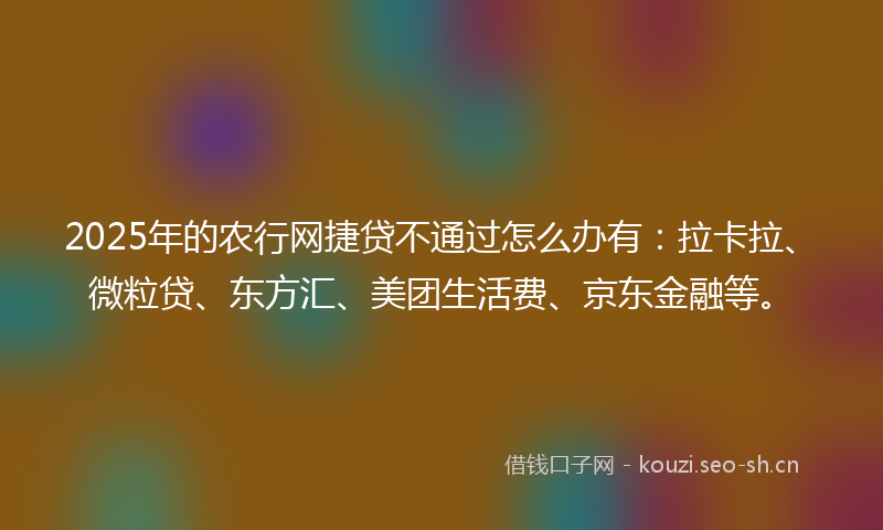 2025年的农行网捷贷不通过怎么办有：拉卡拉、微粒贷、东方汇、美团生活费、京东金融等。