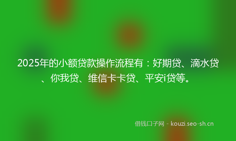 2025年的小额贷款操作流程有：好期贷、滴水贷、你我贷、维信卡卡贷、平安i贷等。