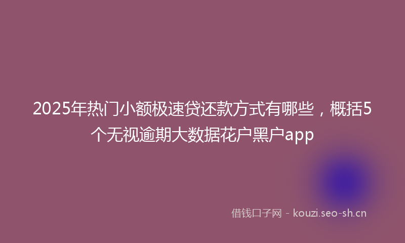 2025年热门小额极速贷还款方式有哪些，概括5个无视逾期大数据花户黑户app