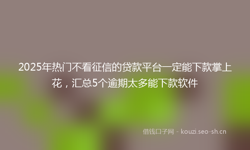 2025年热门不看征信的贷款平台一定能下款掌上花，汇总5个逾期太多能下款软件