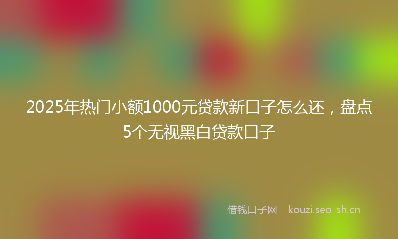 2025年热门小额1000元贷款新口子怎么还，盘点5个无视黑白贷款口子