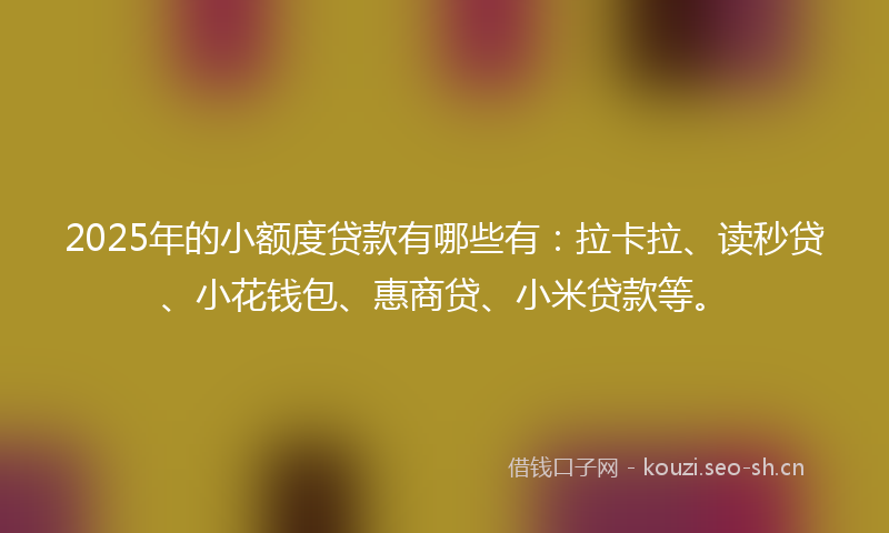 2025年的小额度贷款有哪些有：拉卡拉、读秒贷、小花钱包、惠商贷、小米贷款等。