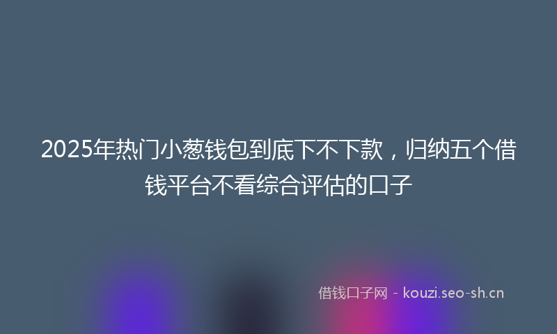 2025年热门小葱钱包到底下不下款，归纳五个借钱平台不看综合评估的口子