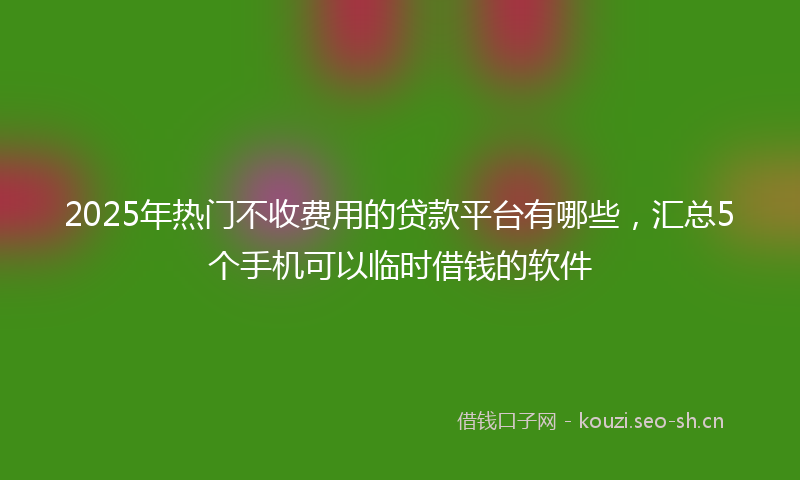 2025年热门不收费用的贷款平台有哪些，汇总5个手机可以临时借钱的软件