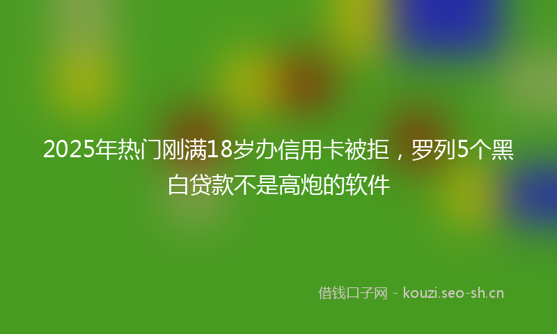 2025年热门刚满18岁办信用卡被拒，罗列5个黑白贷款不是高炮的软件