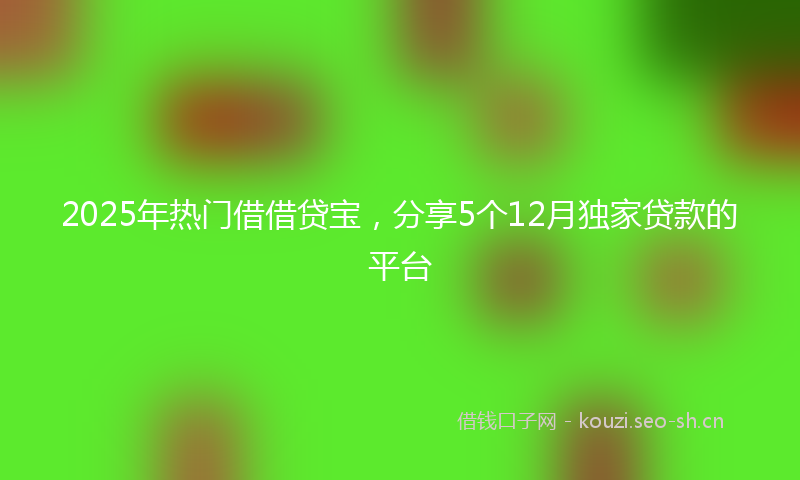 2025年热门借借贷宝，分享5个12月独家贷款的平台